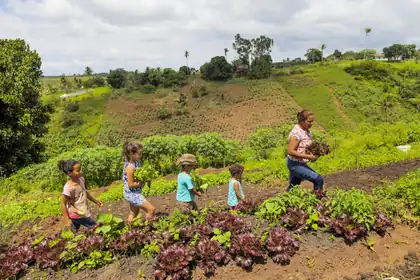 Família na horta